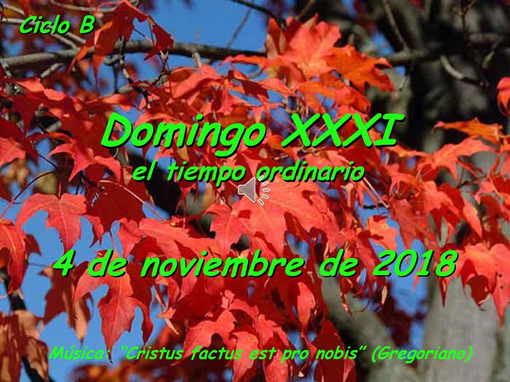 Domingo XXXI 4 de noviembre de 2018 el tiempo ordinario