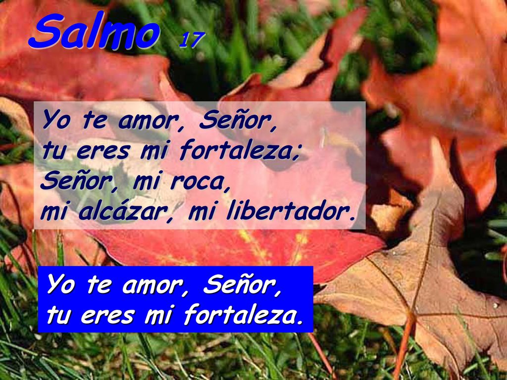 Salmo 17 Yo te amor, Señor, tu eres mi fortaleza; Señor, mi roca,