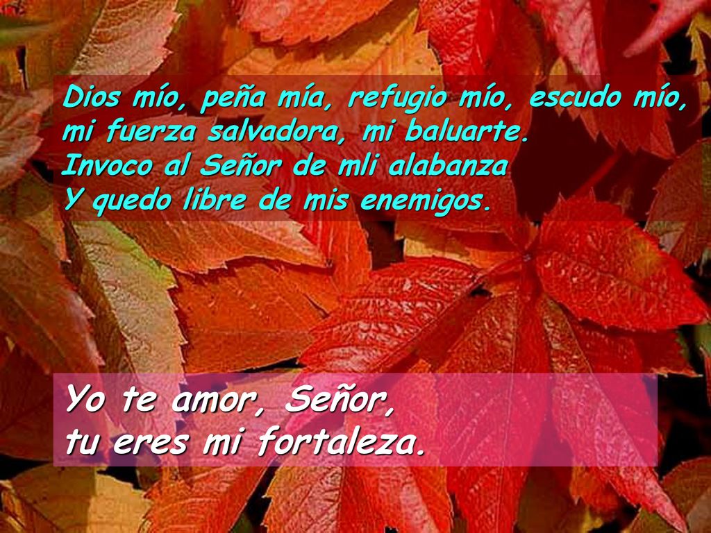 Yo te amor, Señor, tu eres mi fortaleza.