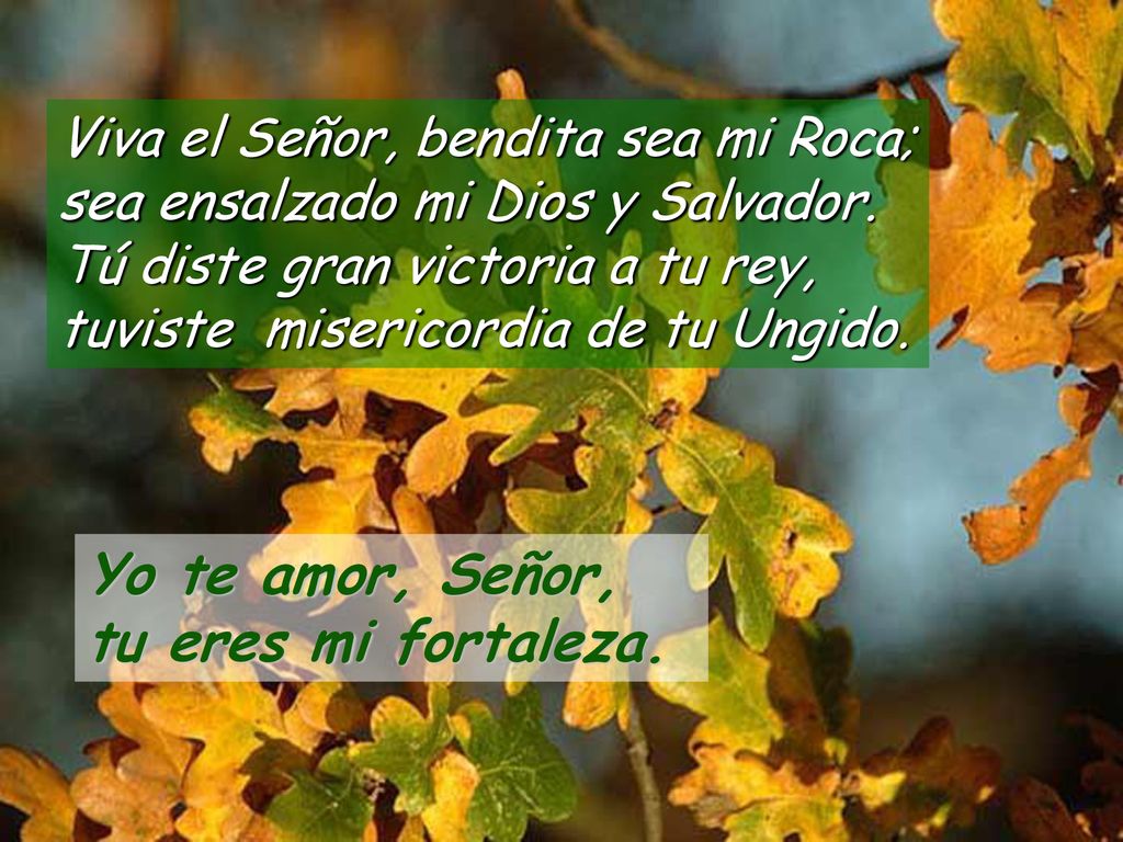 Yo te amor, Señor, tu eres mi fortaleza.