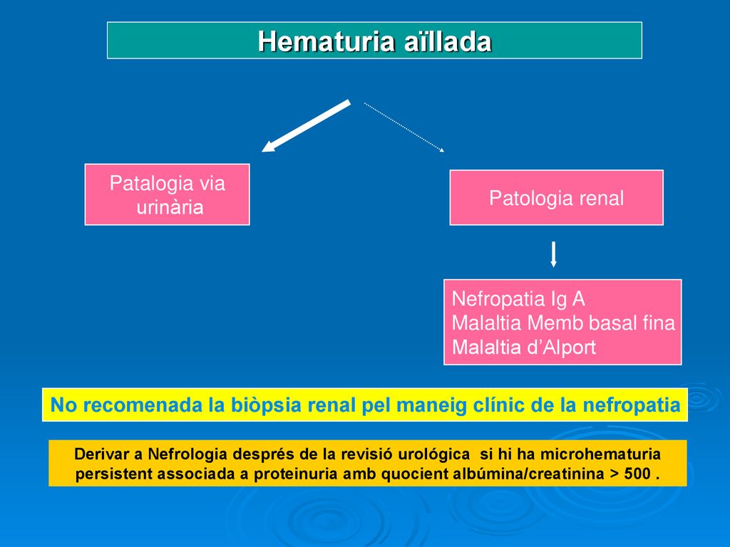 No recomenada la biòpsia renal pel maneig clínic de la nefropatia