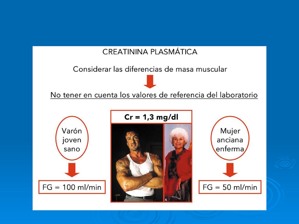 La explicación a este disbalance creatinina-aclaramiento se basa en la masa muscular.