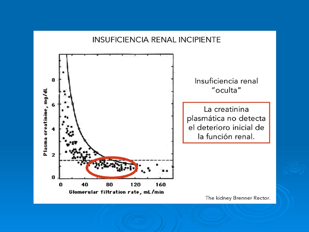 Además, en fases incipientes de fallo renal con reducciones del filtrado glomerular hasta 60 ml/min, no se comienza a apreciar la elevación de la creatinina plasmática.