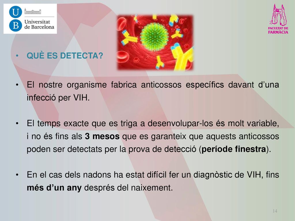 QUÈ ES DETECTA El nostre organisme fabrica anticossos específics davant d’una infecció per VIH.