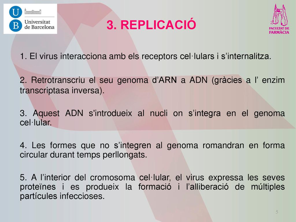 3. REPLICACIÓ 1. El virus interacciona amb els receptors cel·lulars i s’internalitza.