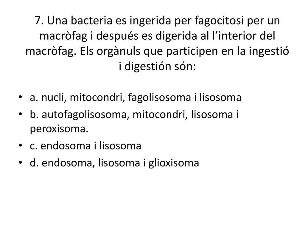 7. Una bacteria es ingerida per fagocitosi per un macròfag i después es digerida al l’interior del macròfag. Els orgànuls que participen en la ingestió i digestión són: