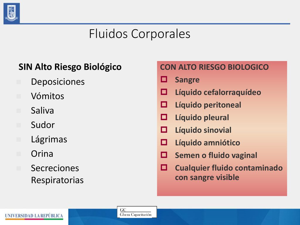 Fluidos Corporales SIN Alto Riesgo Biológico Deposiciones Vómitos