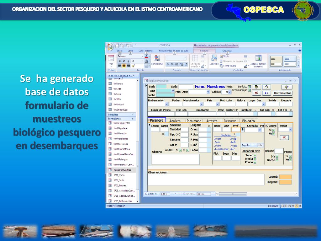 Se ha generado base de datos formulario de muestreos biológico pesquero en desembarques