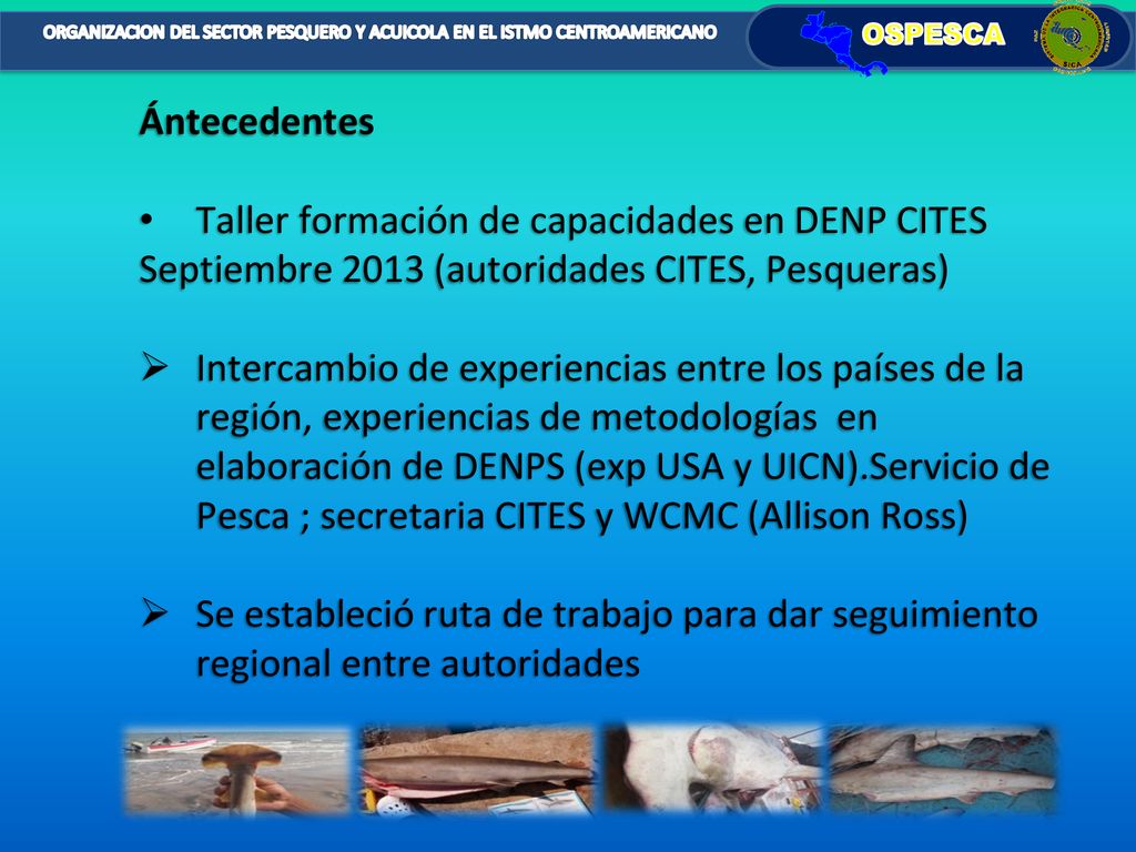Ántecedentes Taller formación de capacidades en DENP CITES. Septiembre 2013 (autoridades CITES, Pesqueras)