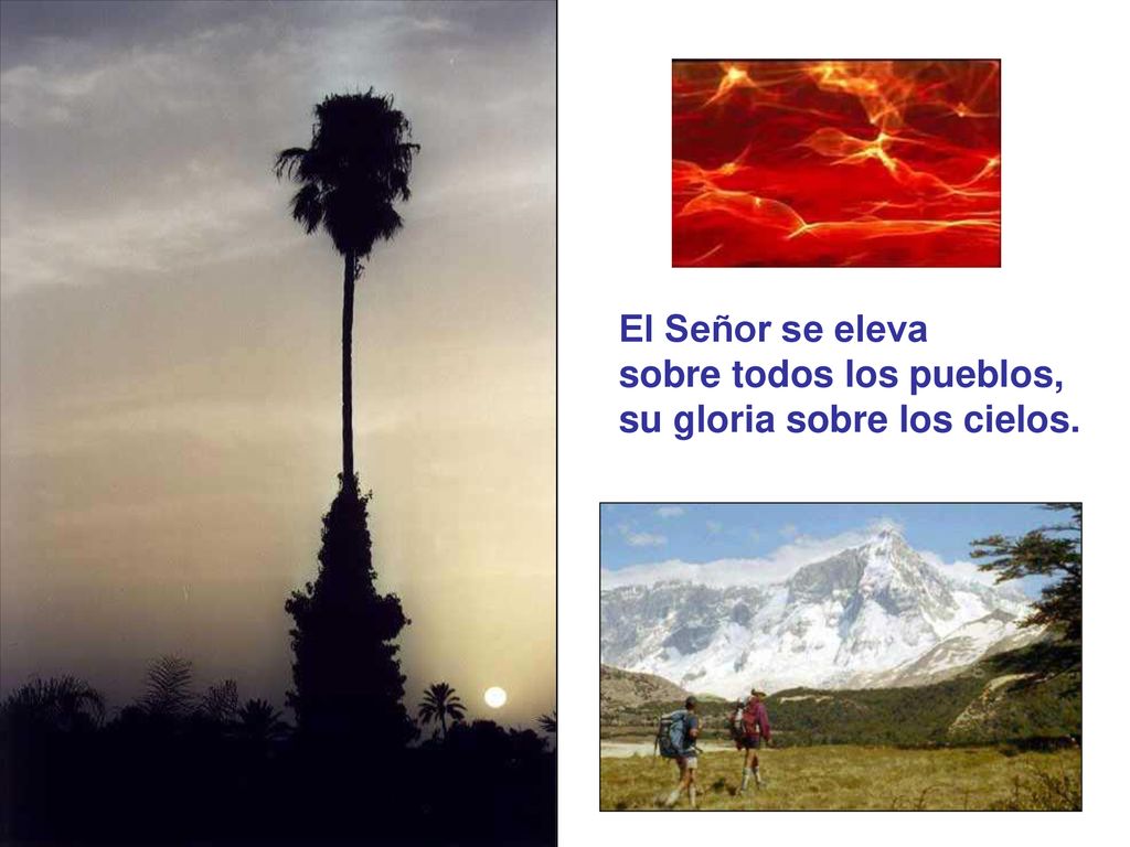 El Señor se eleva sobre todos los pueblos, su gloria sobre los cielos.