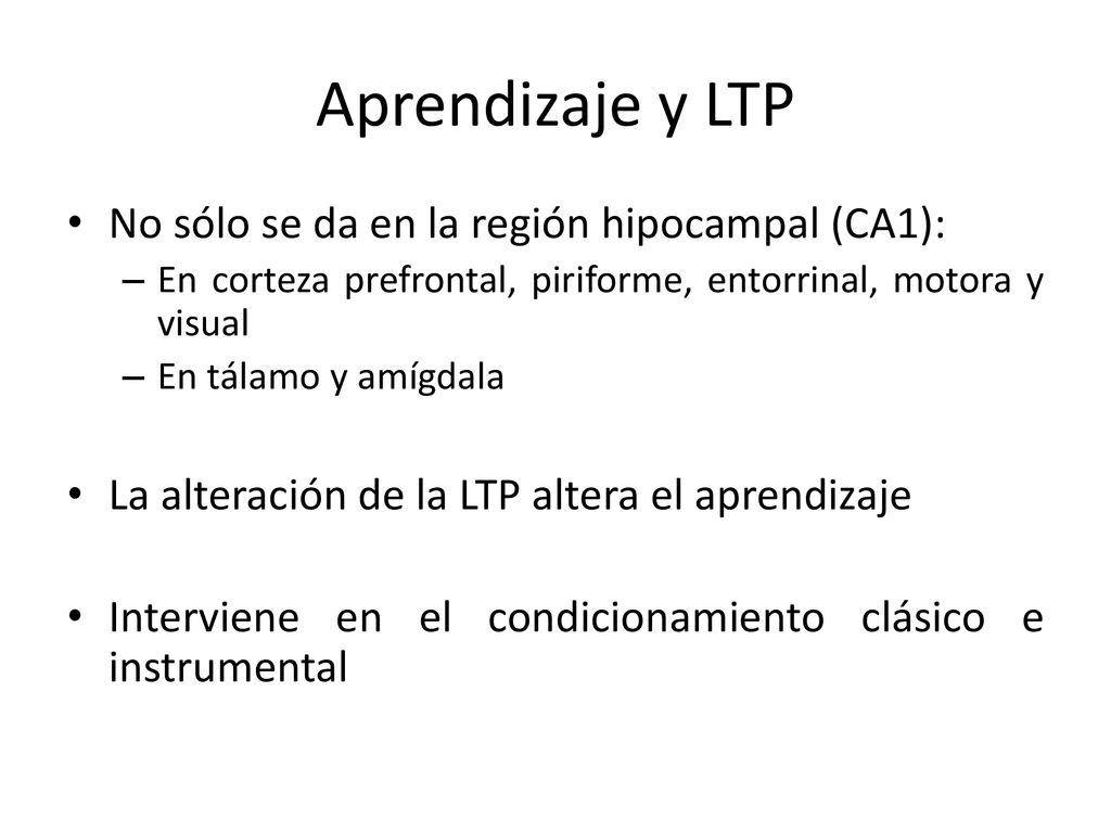 Aprendizaje y LTP No sólo se da en la región hipocampal (CA1):