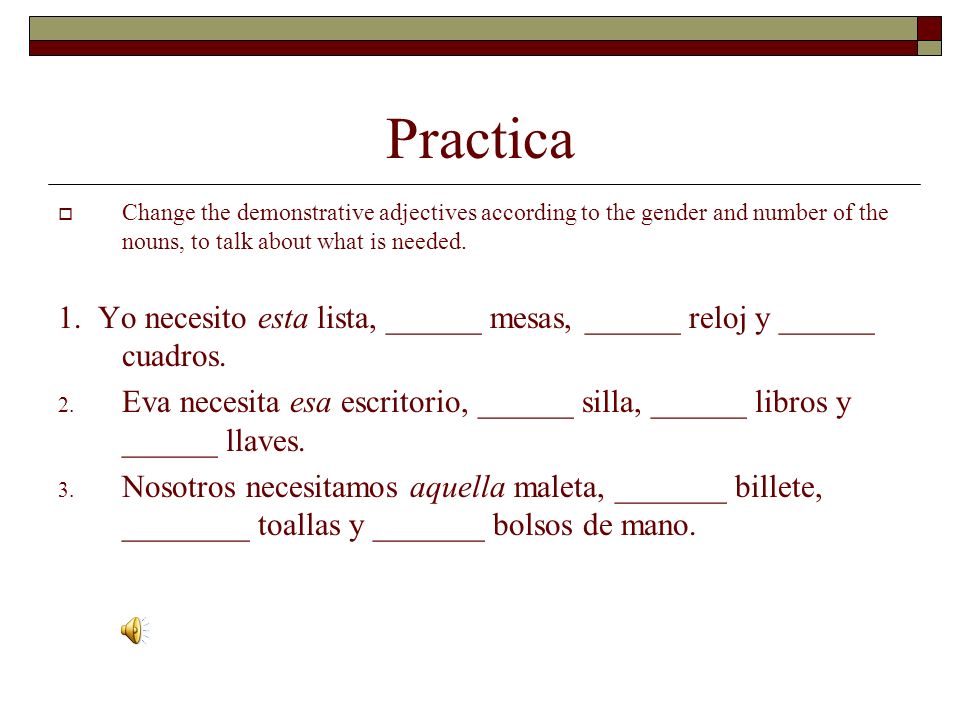 Practica Change the demonstrative adjectives according to the gender and number of the nouns, to talk about what is needed.