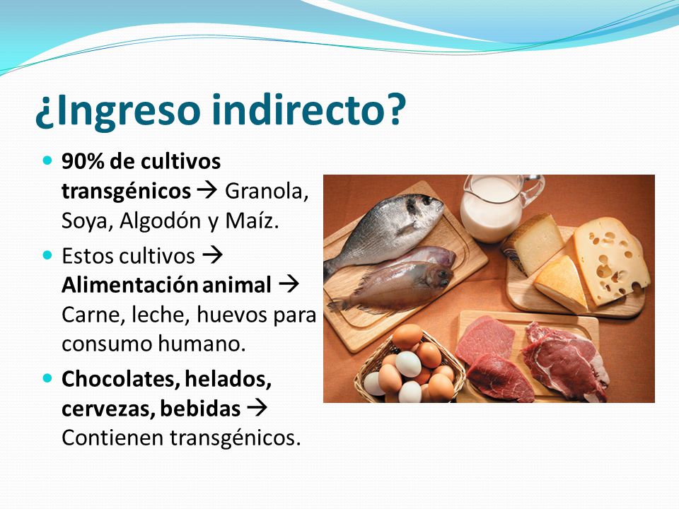 ¿Ingreso indirecto 90% de cultivos transgénicos  Granola, Soya, Algodón y Maíz.