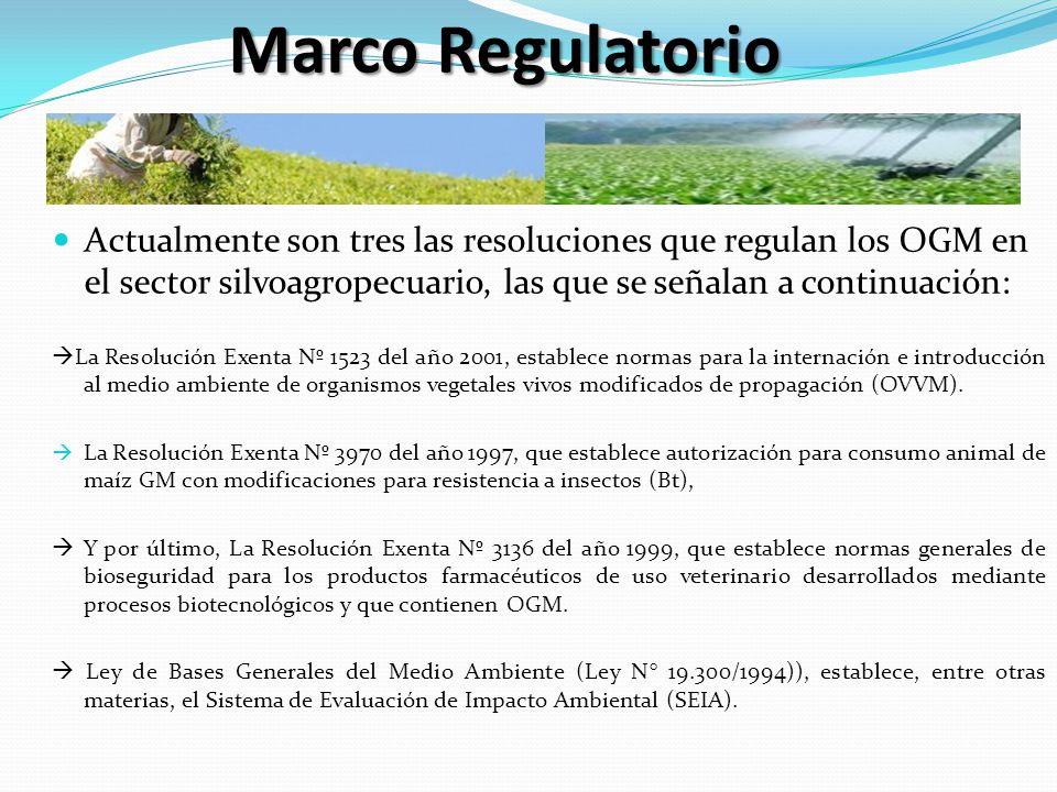 Marco Regulatorio Actualmente son tres las resoluciones que regulan los OGM en el sector silvoagropecuario, las que se señalan a continuación: