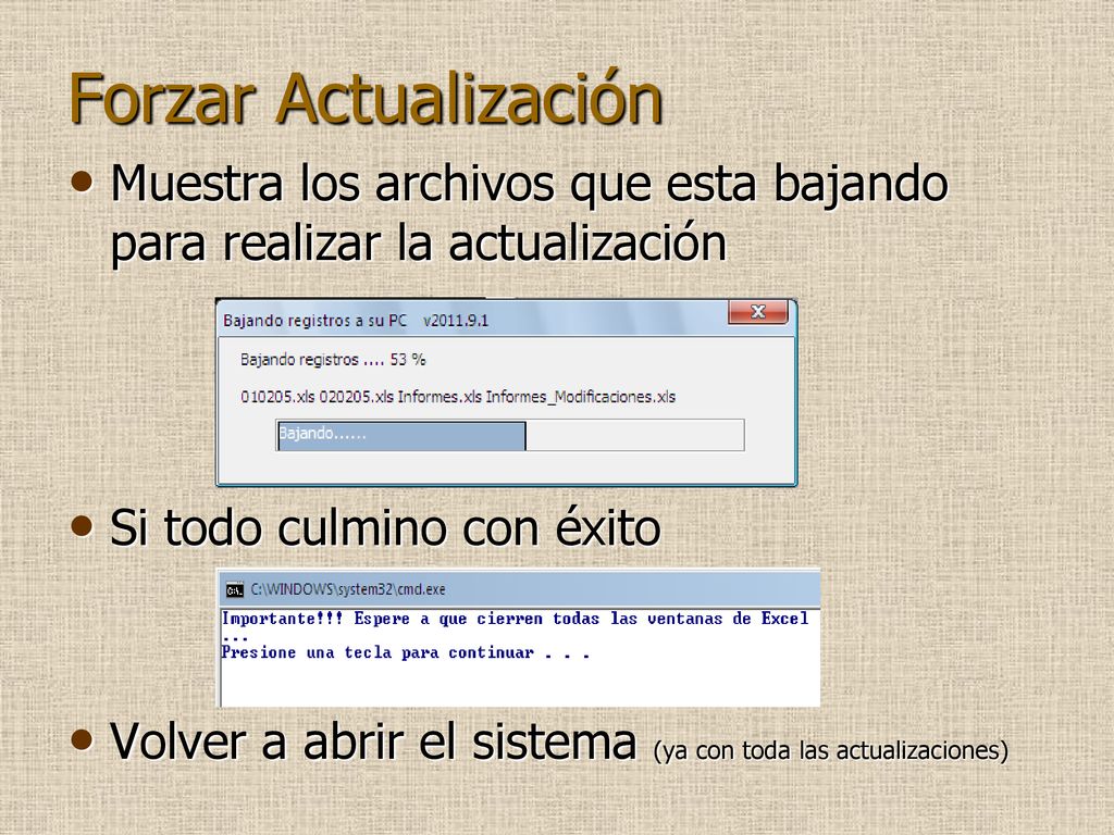 Forzar Actualización Muestra los archivos que esta bajando para realizar la actualización. Si todo culmino con éxito.