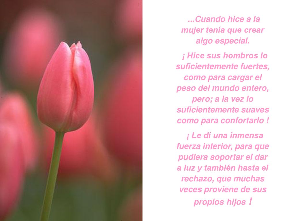 ...Cuando hice a la mujer tenía que crear algo especial.