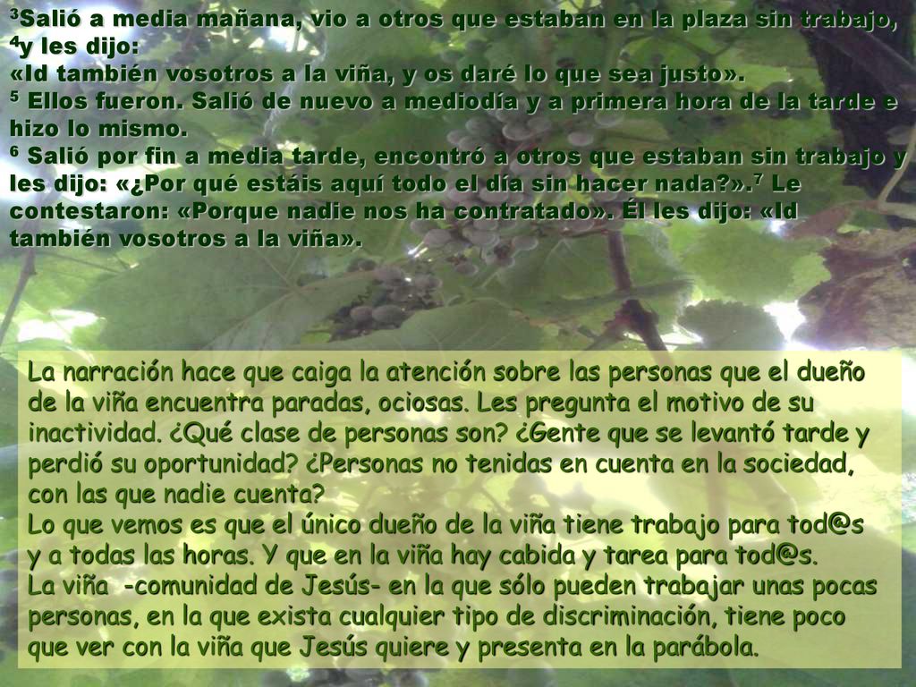 3Salió a media mañana, vio a otros que estaban en la plaza sin trabajo, 4y les dijo: «Id también vosotros a la viña, y os daré lo que sea justo». 5 Ellos fueron. Salió de nuevo a mediodía y a primera hora de la tarde e hizo lo mismo. 6 Salió por fin a media tarde, encontró a otros que estaban sin trabajo y les dijo: «¿Por qué estáis aquí todo el día sin hacer nada ».7 Le contestaron: «Porque nadie nos ha contratado». Él les dijo: «Id también vosotros a la viña».