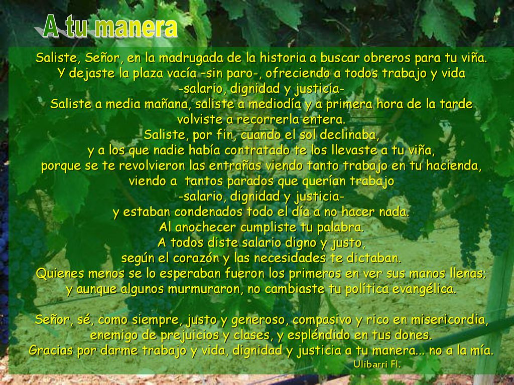 A tu manera Saliste, Señor, en la madrugada de la historia a buscar obreros para tu viña.