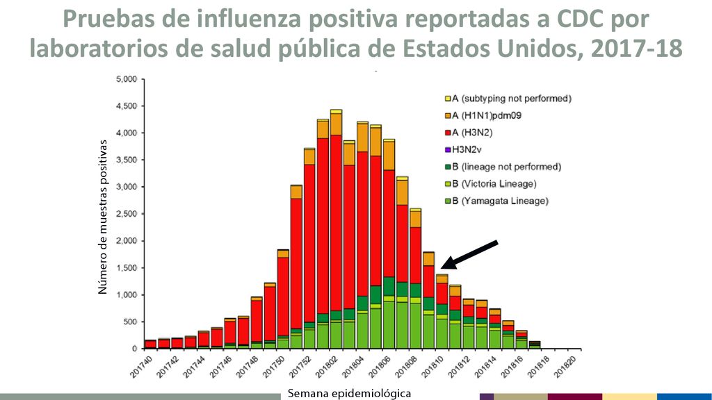 Pruebas de influenza positiva reportadas a CDC por laboratorios de salud pública de Estados Unidos,