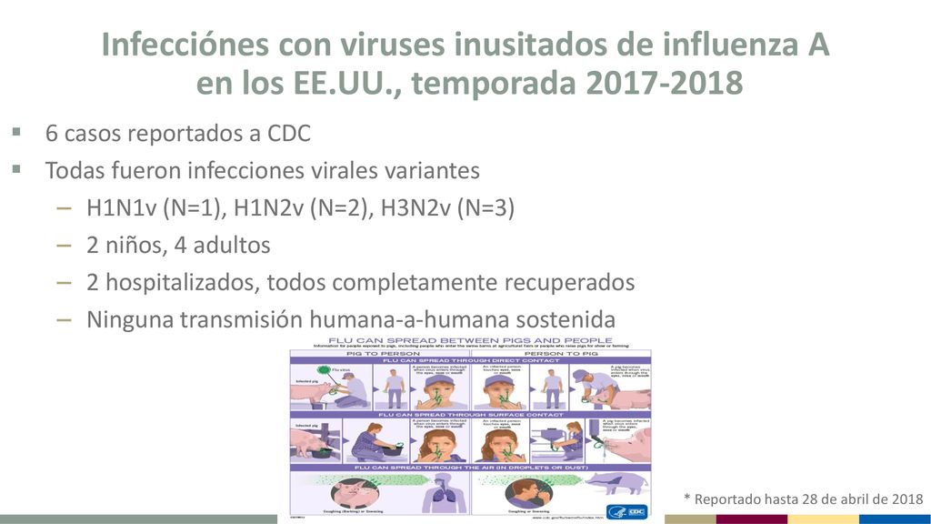 Infecciónes con viruses inusitados de influenza A en los EE. UU