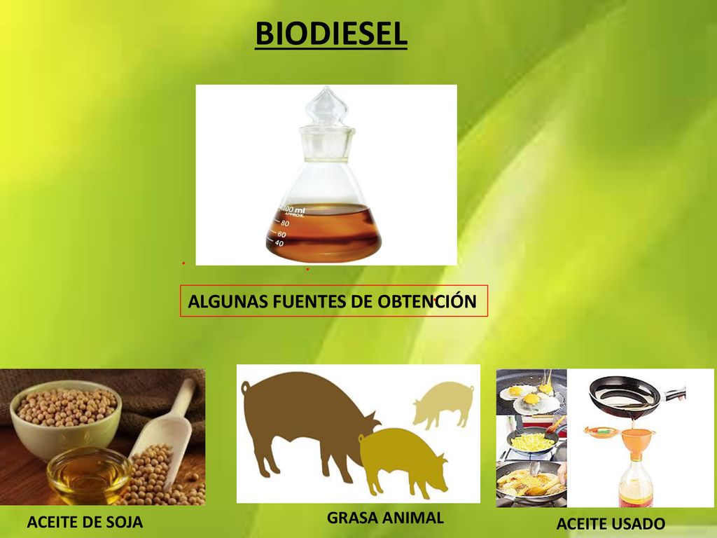 BIODIESEL ALGUNAS FUENTES DE OBTENCIÓN GRASA ANIMAL ACEITE DE SOJA