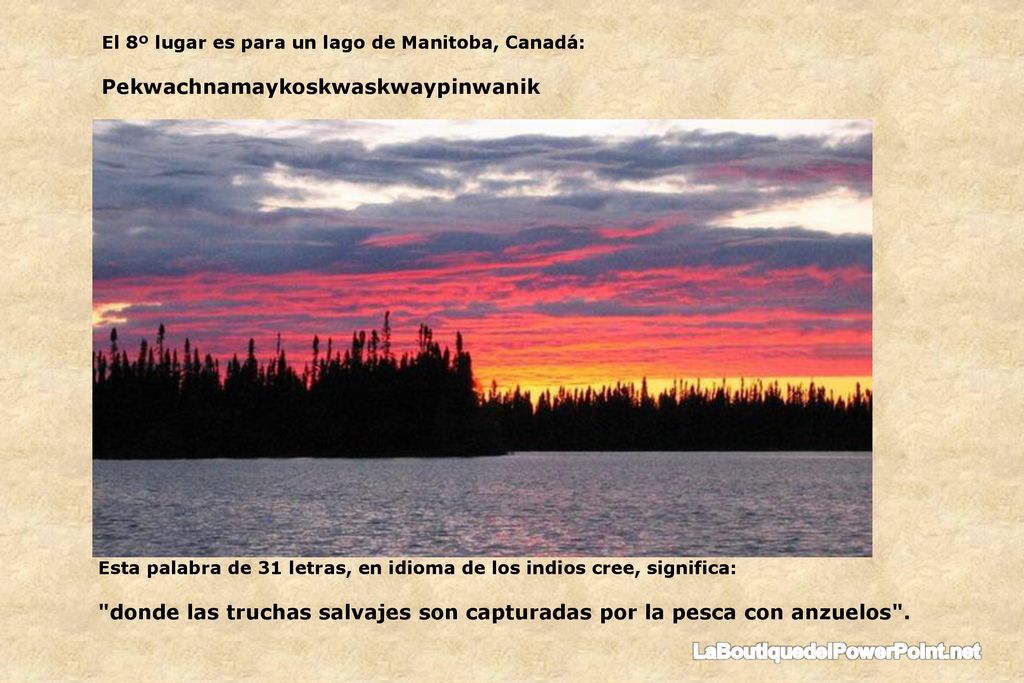 donde las truchas salvajes son capturadas por la pesca con anzuelos .