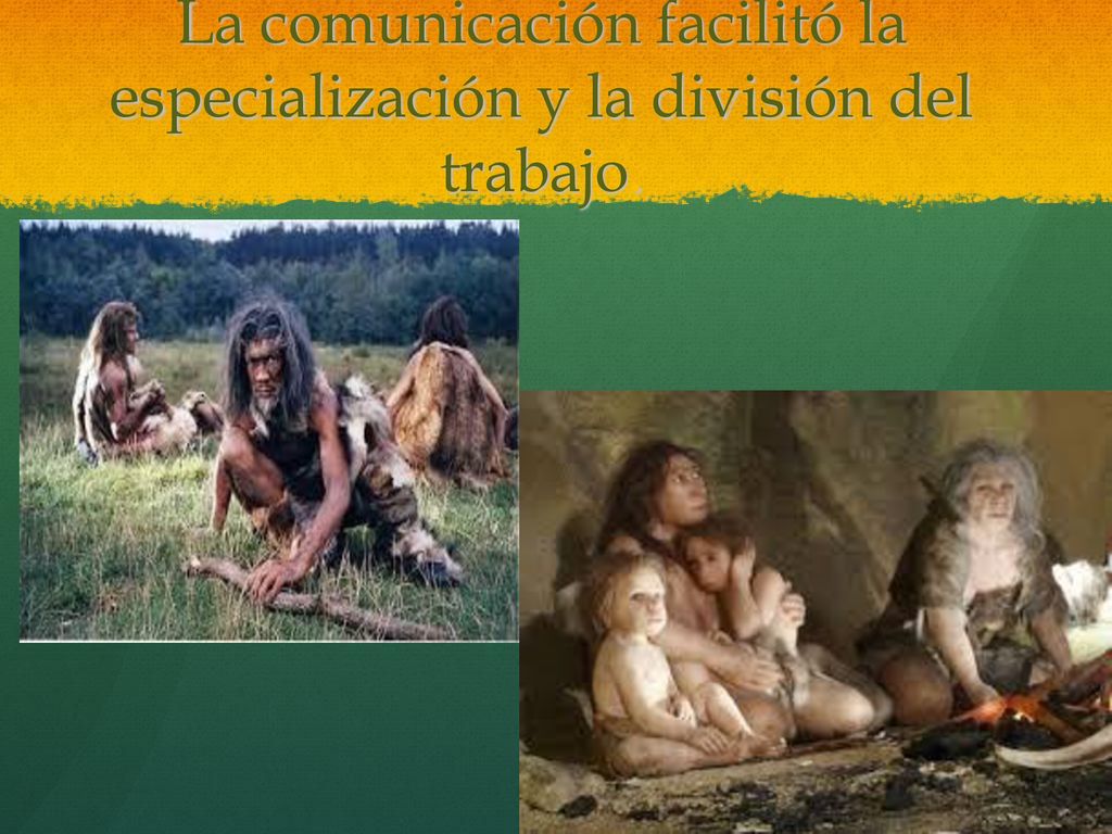 La comunicación facilitó la especialización y la división del trabajo.