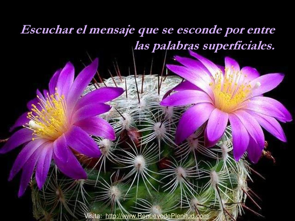 Escuchar el mensaje que se esconde por entre las palabras superficiales.