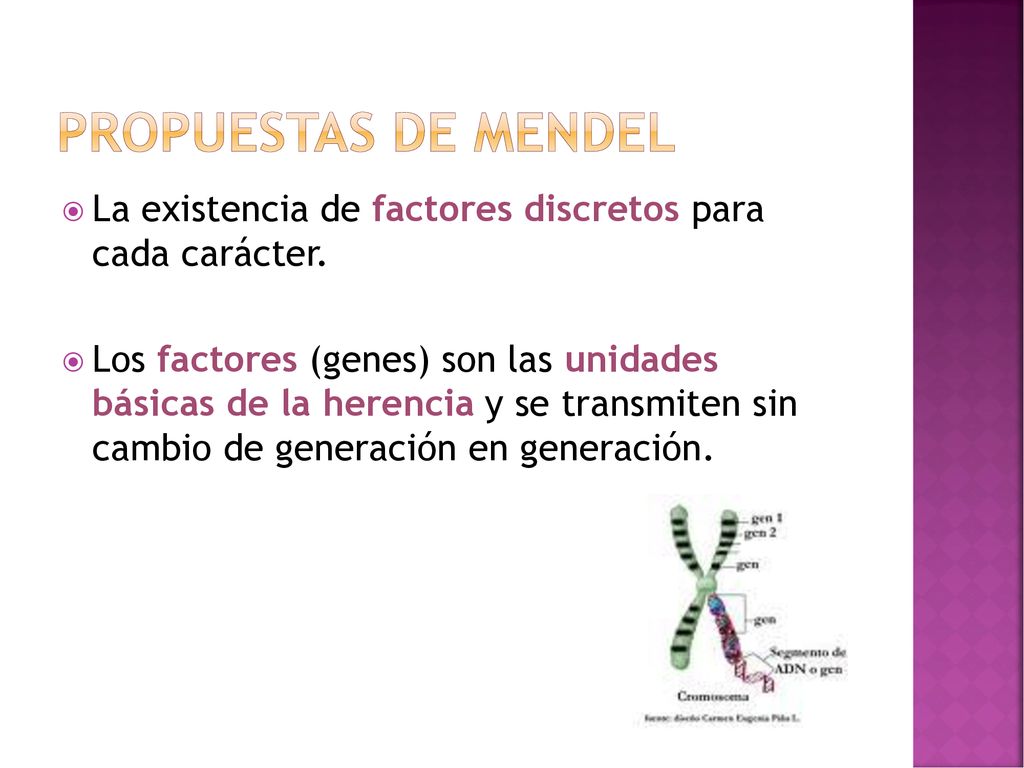 Propuestas de Mendel La existencia de factores discretos para cada carácter.