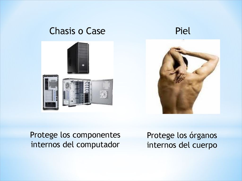 Chasis o Case Piel Protege los componentes internos del computador
