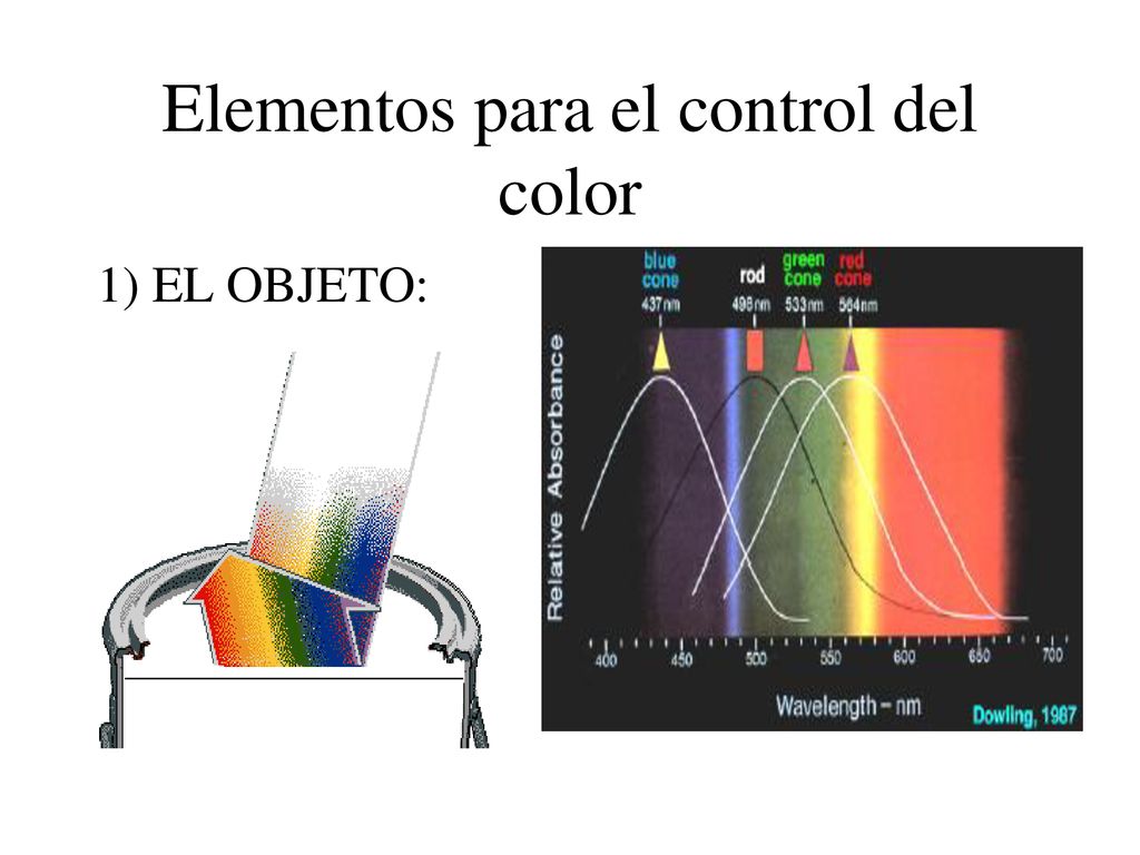 Elementos para el control del color