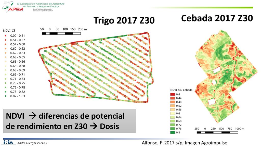 Cebada 2017 Z30 Trigo 2017 Z30. NDVI  diferencias de potencial de rendimiento en Z30  Dosis.