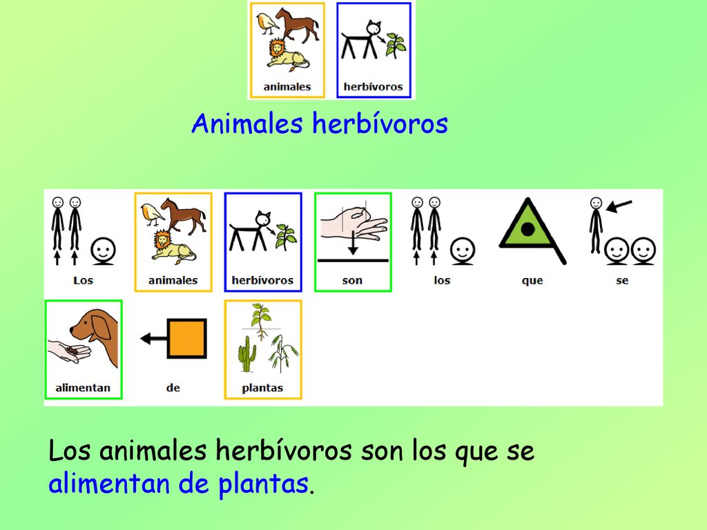 Animales herbívoros Los animales herbívoros son los que se alimentan de plantas.