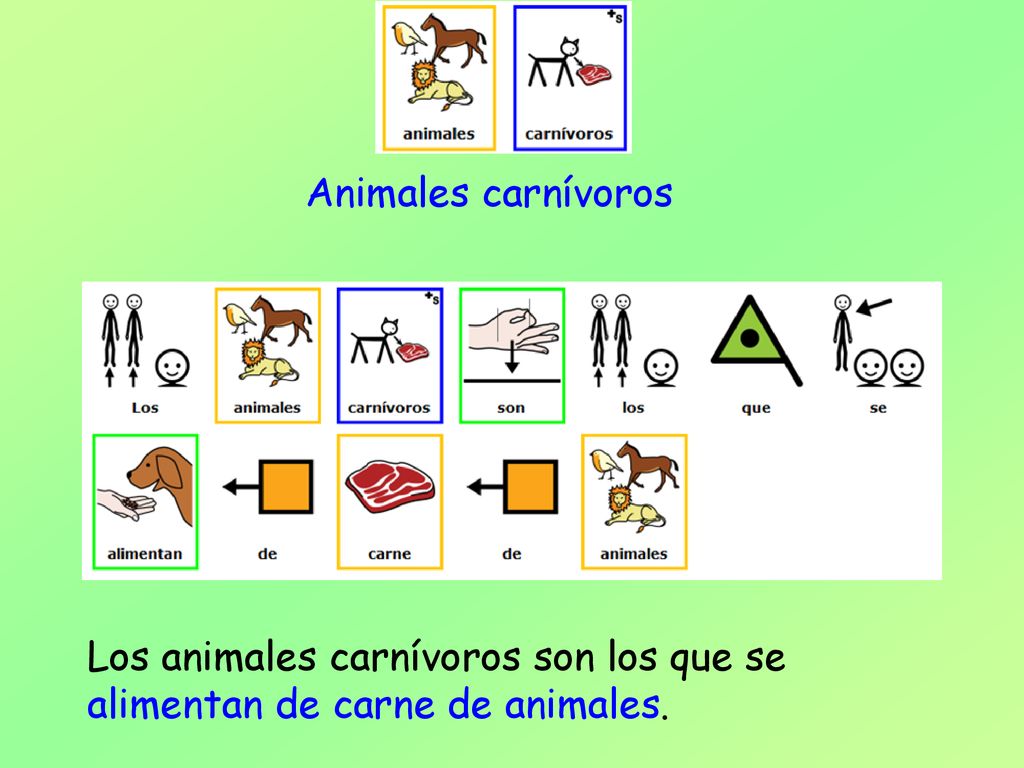 Animales carnívoros Los animales carnívoros son los que se alimentan de carne de animales.