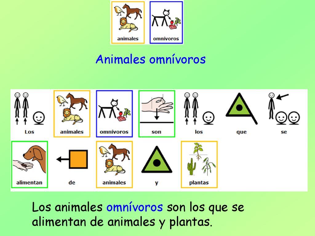 Animales omnívoros Los animales omnívoros son los que se alimentan de animales y plantas.