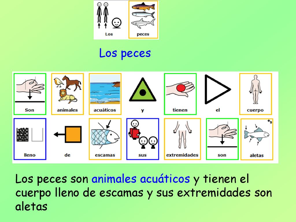 Los peces Los peces son animales acuáticos y tienen el cuerpo lleno de escamas y sus extremidades son aletas.