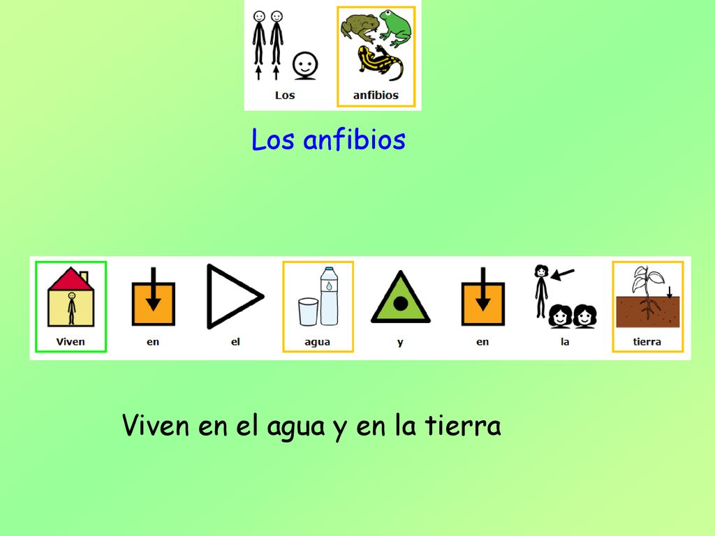 Los anfibios Viven en el agua y en la tierra