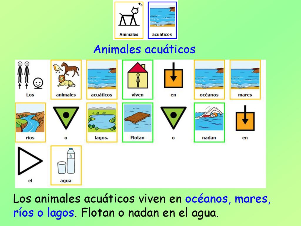 Animales acuáticos Los animales acuáticos viven en océanos, mares, ríos o lagos.
