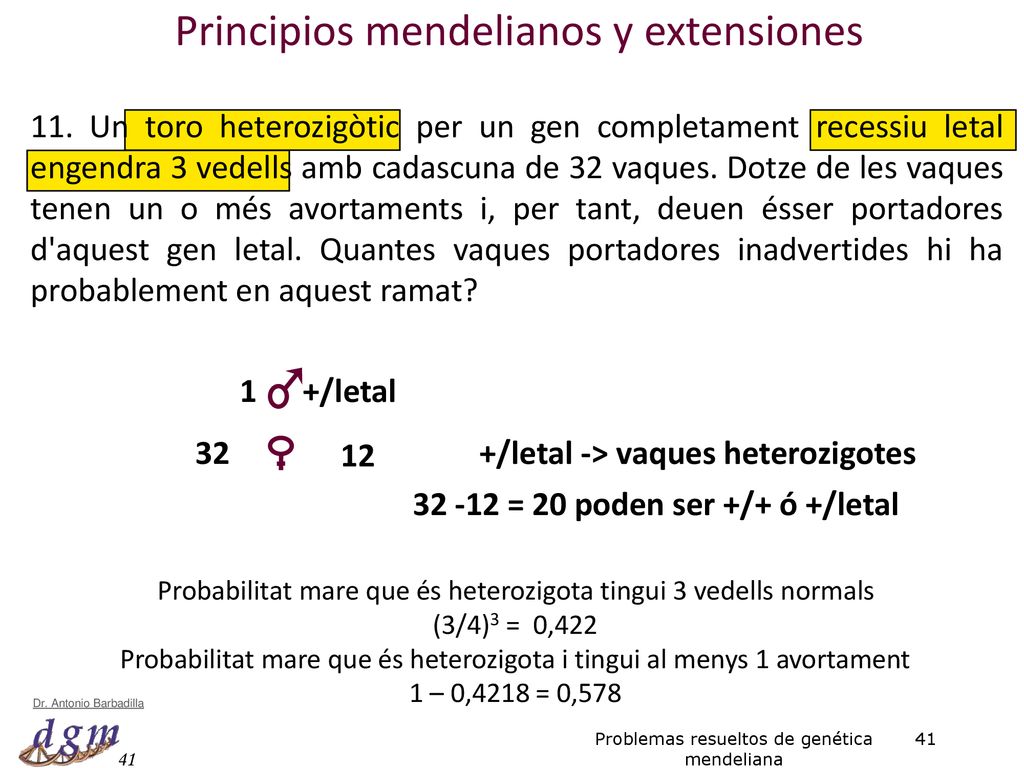 +/letal -> vaques heterozigotes = 20 poden ser +/+ ó +/letal