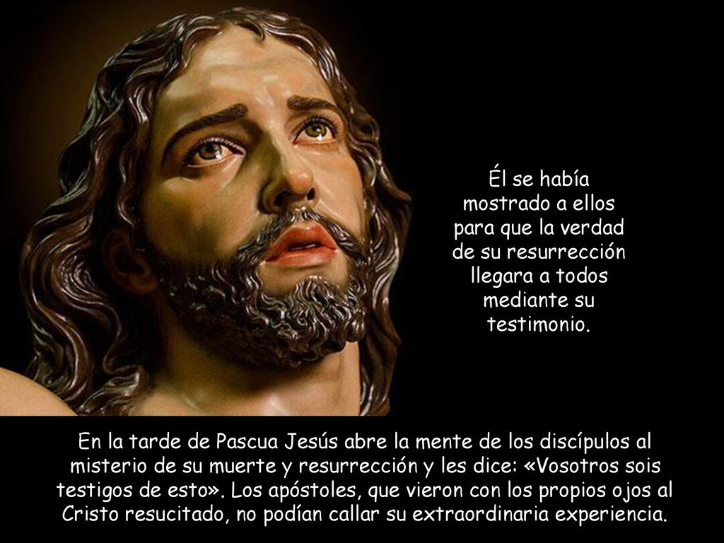 Él se había mostrado a ellos para que la verdad de su resurrección llegara a todos mediante su testimonio.