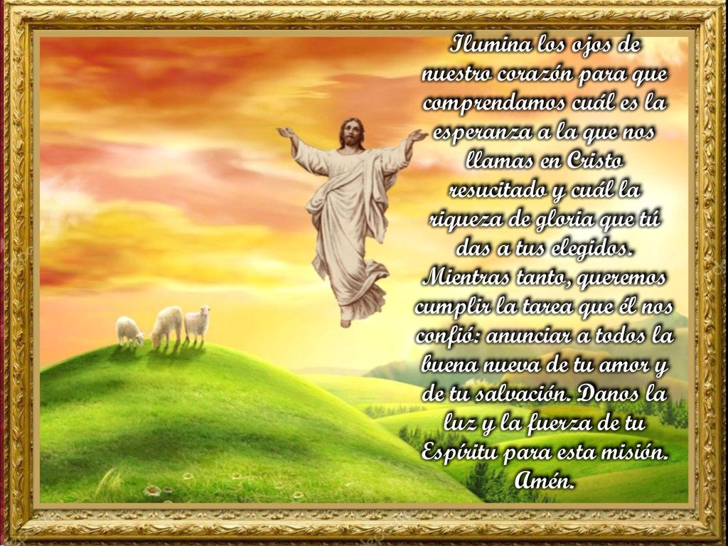 Ilumina los ojos de nuestro corazón para que comprendamos cuál es la esperanza a la que nos llamas en Cristo resucitado y cuál la riqueza de gloria que tú das a tus elegidos.