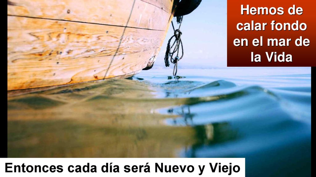 Hemos de calar fondo en el mar de la Vida