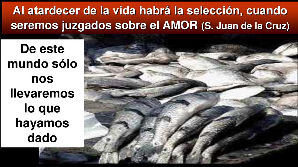 De este mundo sólo nos llevaremos lo que hayamos dado