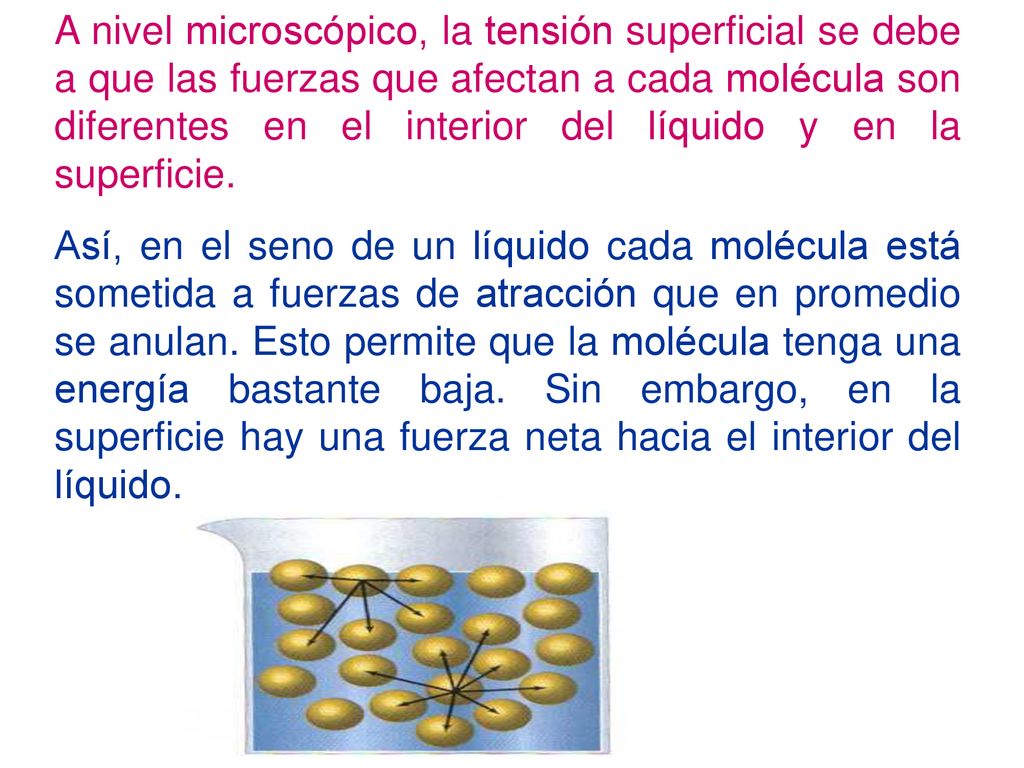A nivel microscópico, la tensión superficial se debe a que las fuerzas que afectan a cada molécula son diferentes en el interior del líquido y en la superficie.