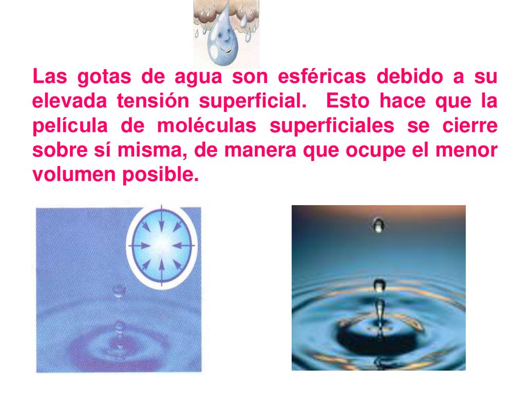 Las gotas de agua son esféricas debido a su elevada tensión superficial.