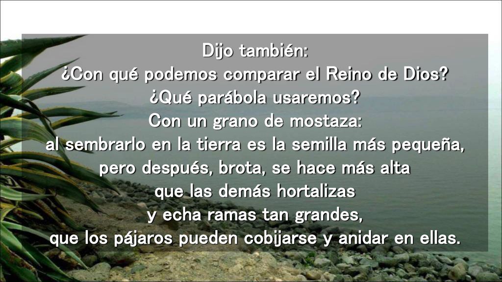 Dijo también: ¿Con qué podemos comparar el Reino de Dios