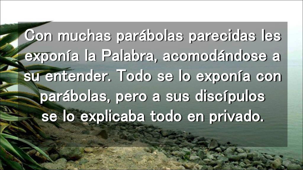 Con muchas parábolas parecidas les exponía la Palabra, acomodándose a su entender.