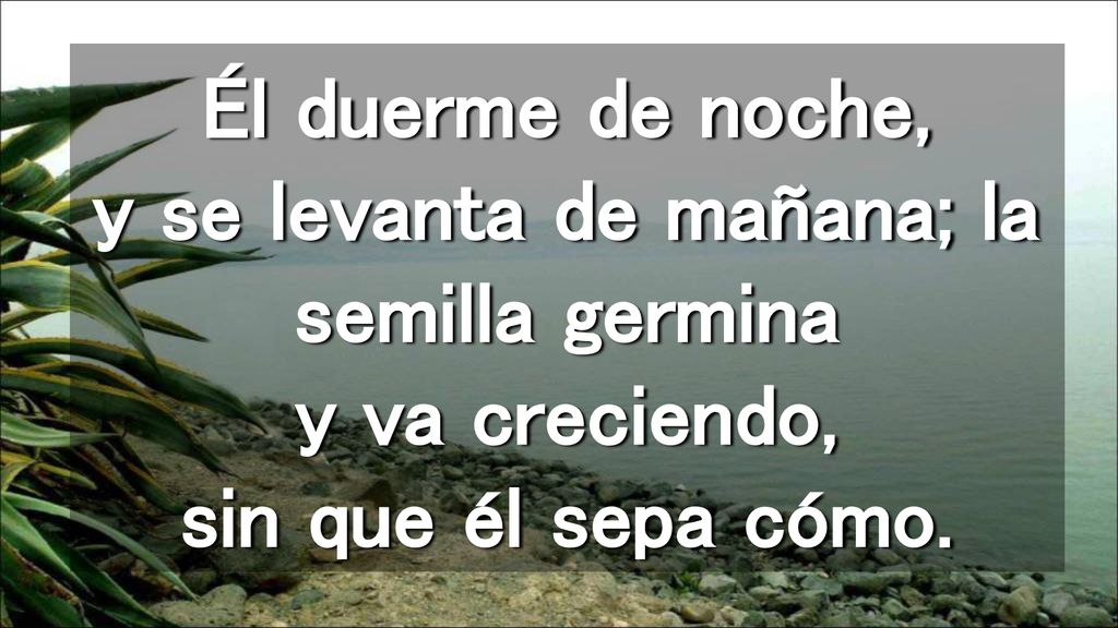 Él duerme de noche, y se levanta de mañana; la semilla germina y va creciendo, sin que él sepa cómo.
