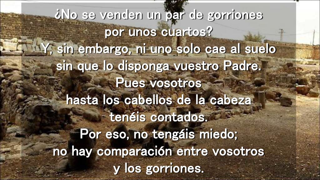¿No se venden un par de gorriones por unos cuartos