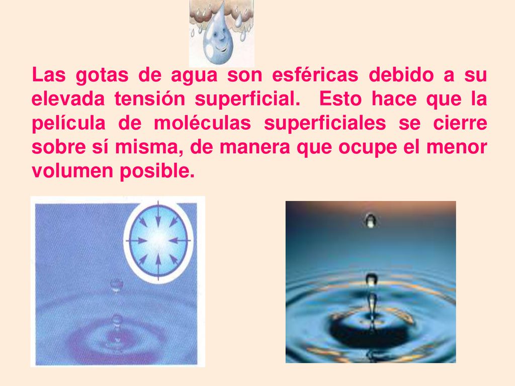 Las gotas de agua son esféricas debido a su elevada tensión superficial.